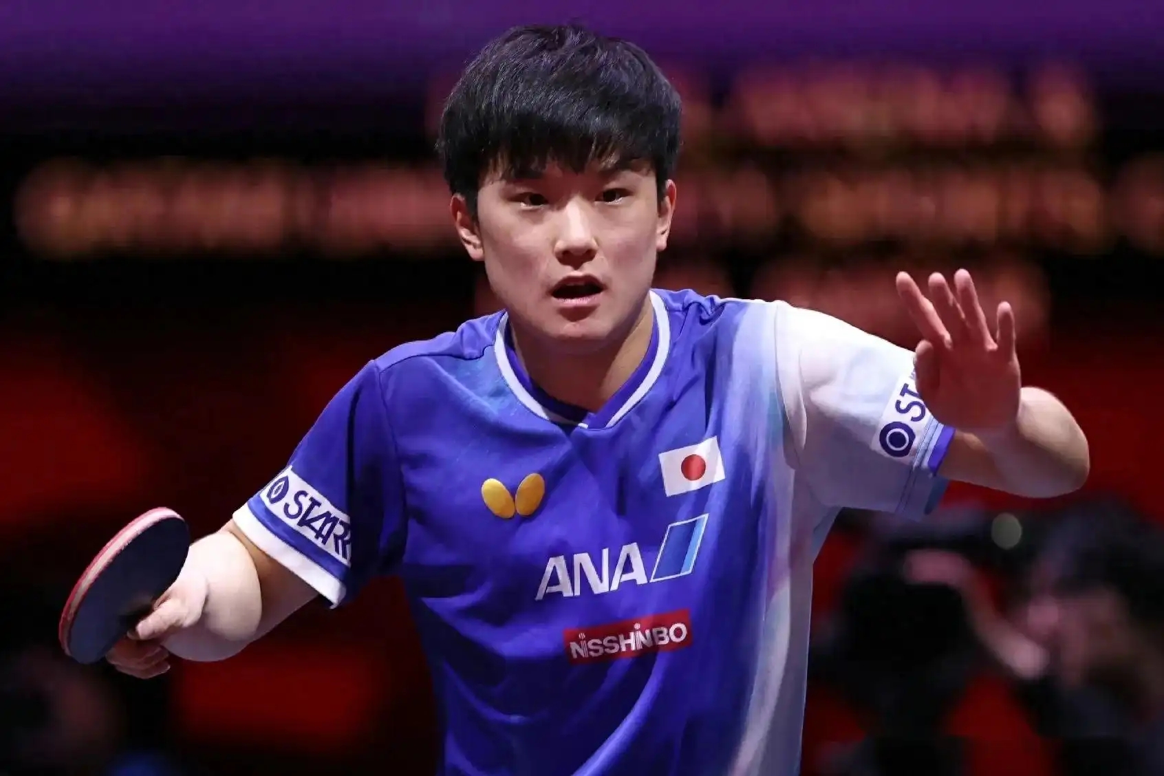 爱游戏官方入口-中国乒乓球队强势英国乒乓球队，张本智和打破历史纪录的简单介绍