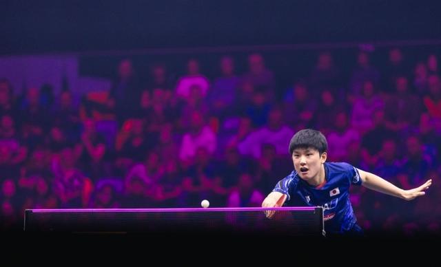 瑞典队逆转德国队，张本智和点燃赛场