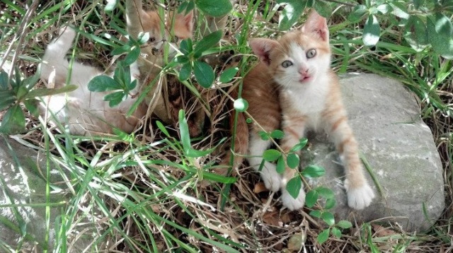 从绝境到神迹,姆巴佩魔幻十分钟改写欧洲足坛史诗