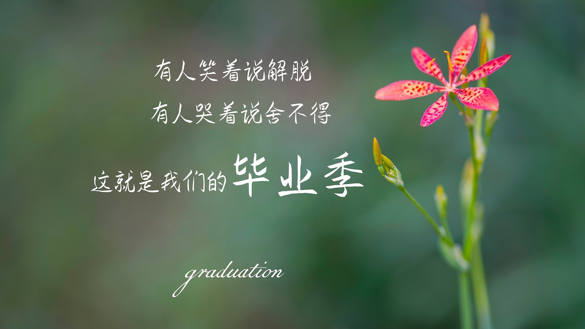 从温网滑铁卢到总决赛加冕,蒂姆如何用一场自我革命惊艳世界?