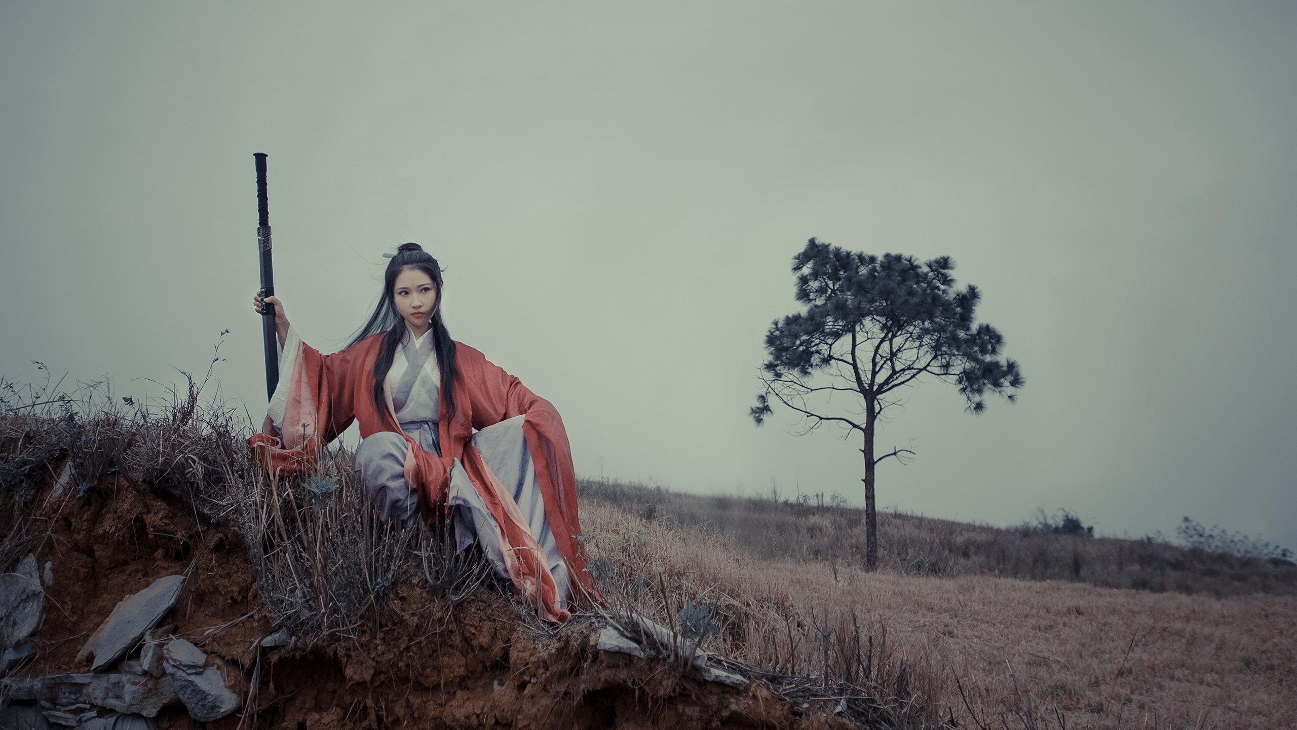 爱游戏大厅-唯一胜利，索伯车队凭借诺里斯神勇轻取阿斯顿马丁