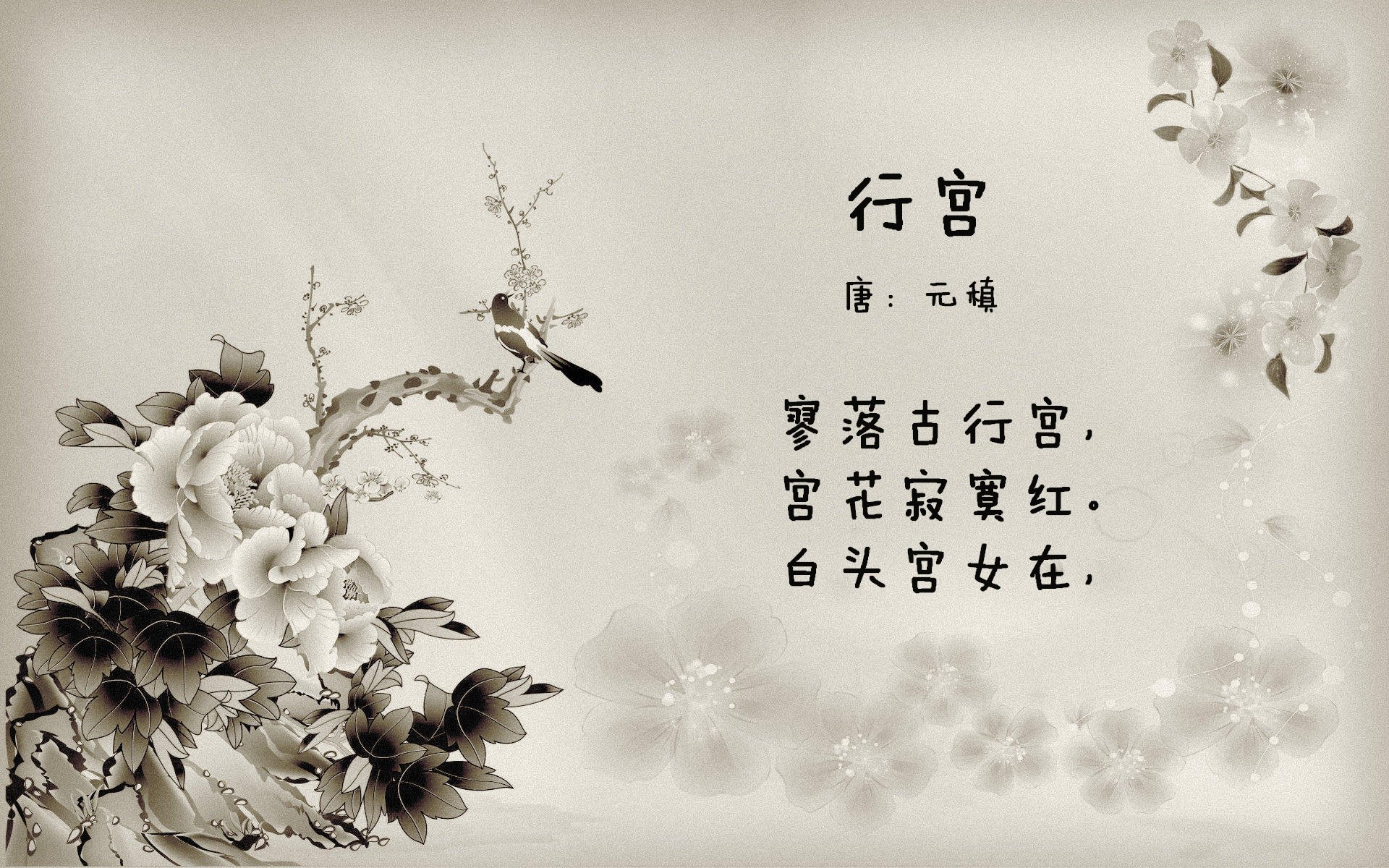 野性与秩序的碰撞，范弗利特跨刀助森林狼力斩独行侠