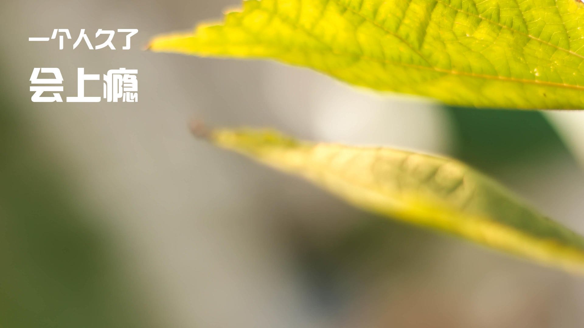 劳塔罗全场最佳无争议彰显领袖风范，乌克兰轻取韩国展现实力碾压—国际足坛双星闪耀夜