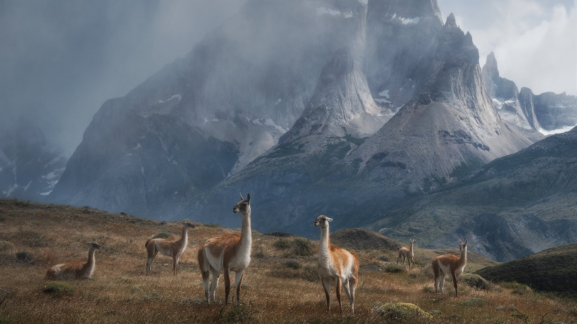 风暴眼中的独舞者，乔治在世界排名争夺战之夜的完全节奏掌控