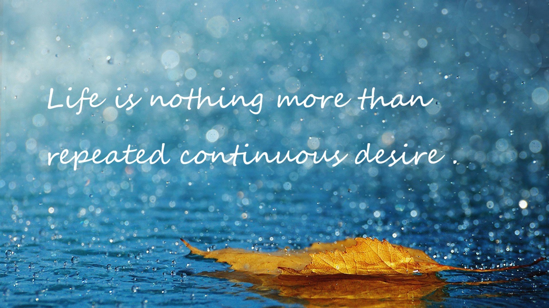 逆境中的奇迹,深圳队如何拆解猛龙,福克斯成为关键先生