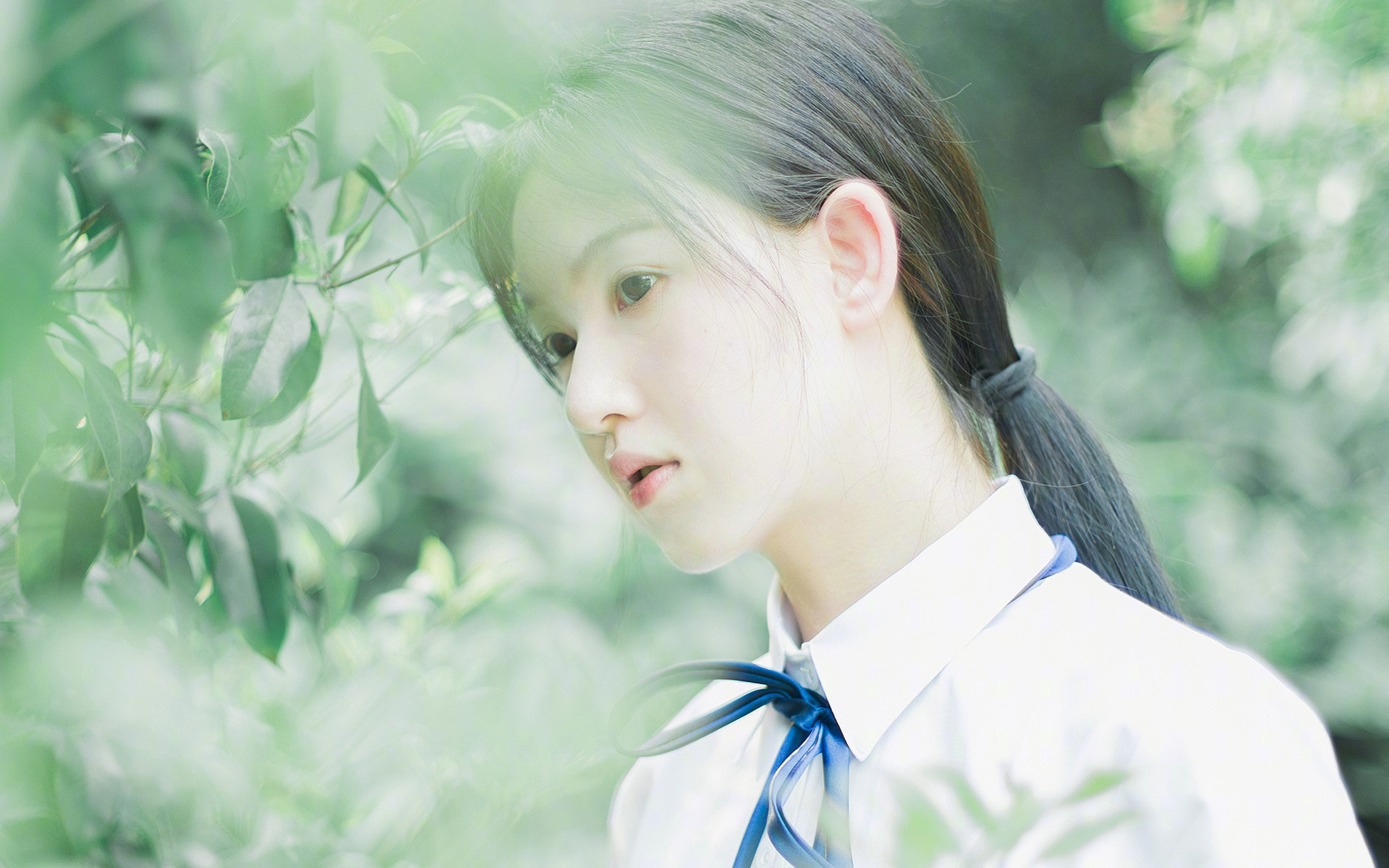 铁壁的共鸣,从上海滩到明尼苏达,防守如何改写比赛基因