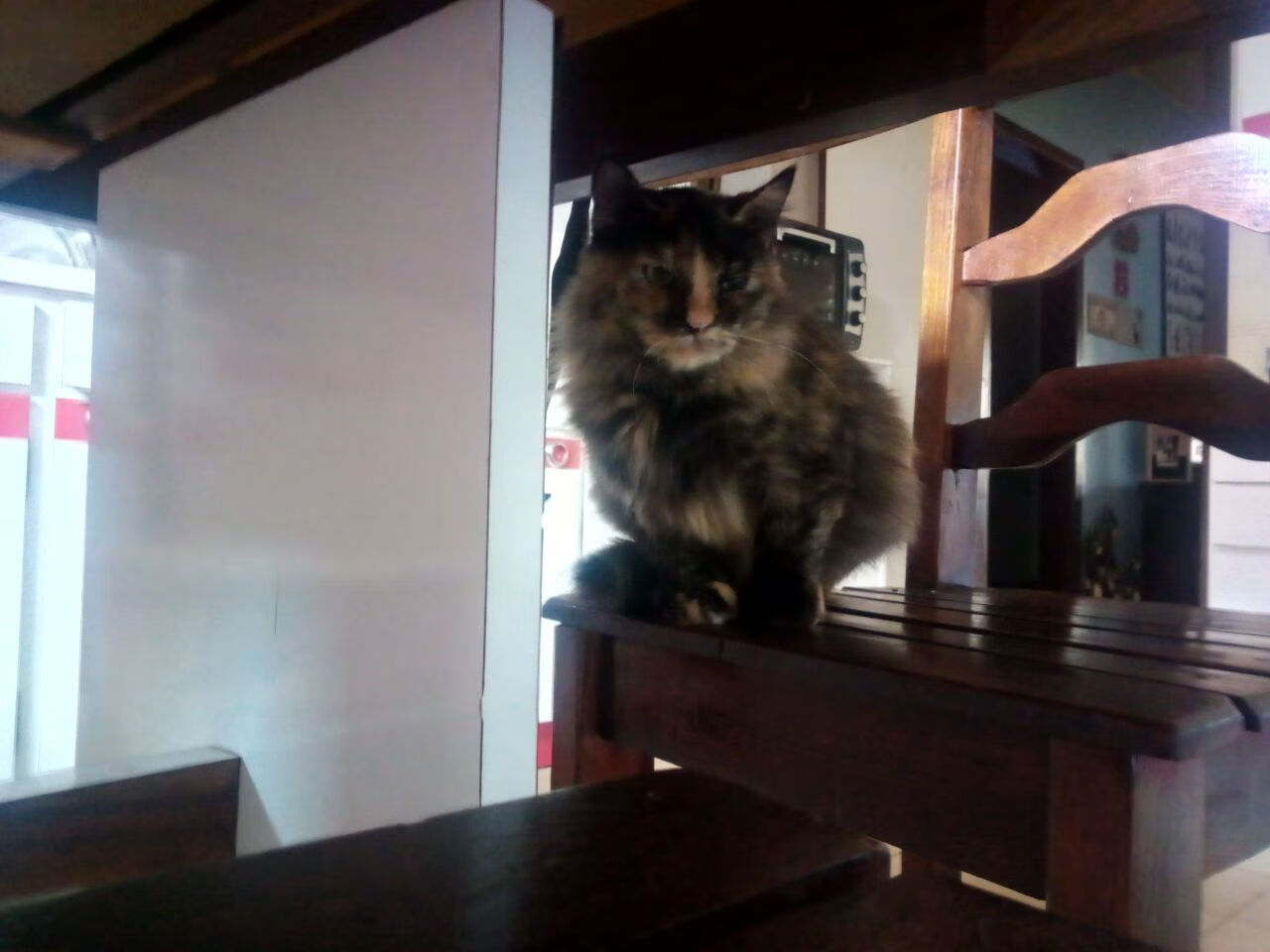 爱游戏娱乐-沙漠之鹰啄伤桑巴军团，卡塔尔硬仗奇迹击败巴西