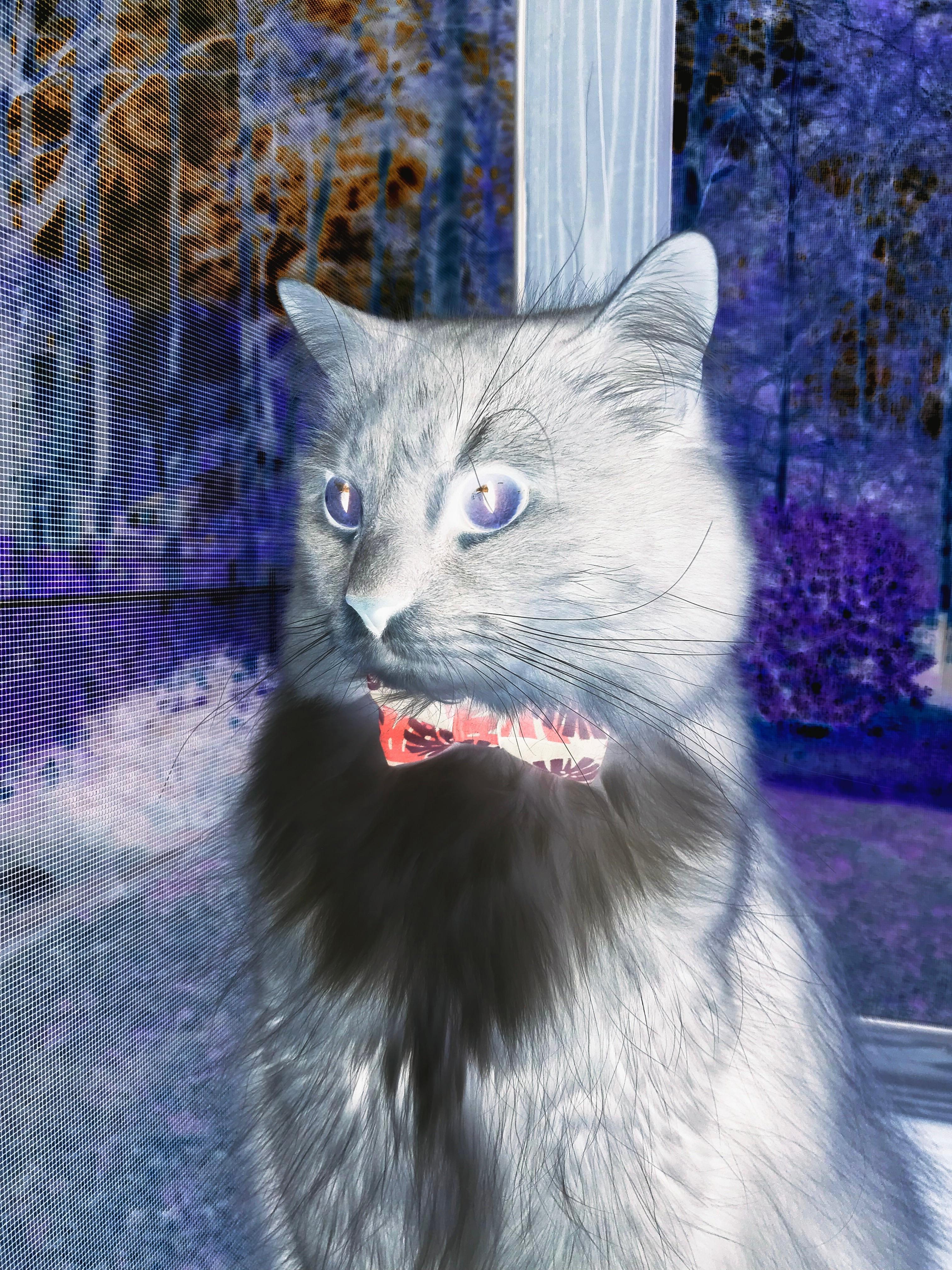 爱游戏在线-萨卡关键球锁定胜局，德国队连续得分压制中国队