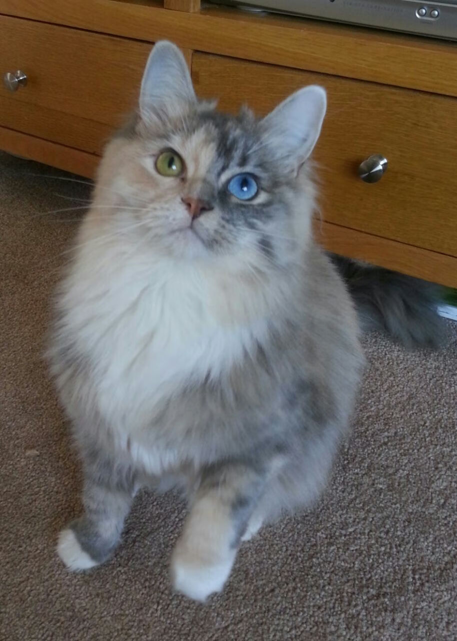 爱游戏下载-镣铐与钥匙，勇士窒息式防守锁死篮网，保罗化身关键先生解开胜利之锁