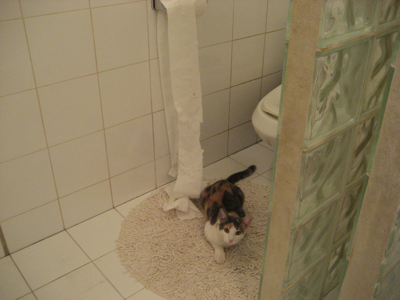 爱游戏APP-逆境双星，三笘薰的绝境救赎与塞内加尔的碾压风暴