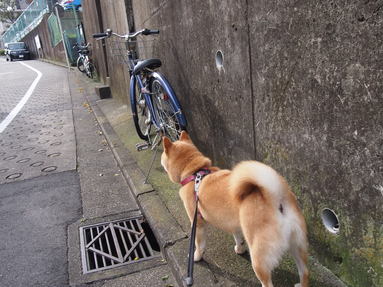 降维打击，德布劳内的手术刀传球与美军的击溃行动—当足球智慧邂逅军事谋略