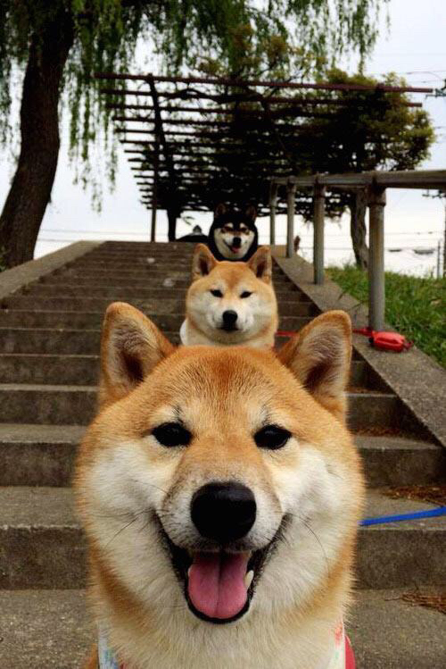 爱游戏tv-唯一答案，活塞用钢铁洪流为抢七写下终极定义