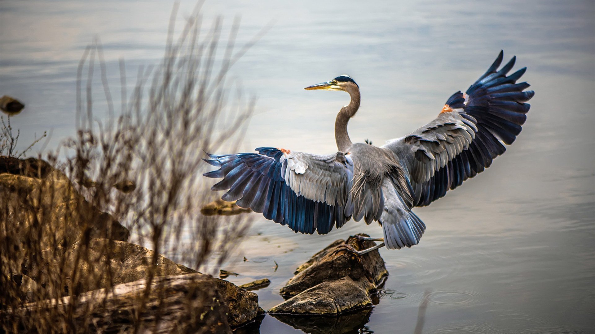 爱游戏娱乐-光芒万丈，布伦森关键爆发助太阳灼伤广东，揭示篮球哲学差异