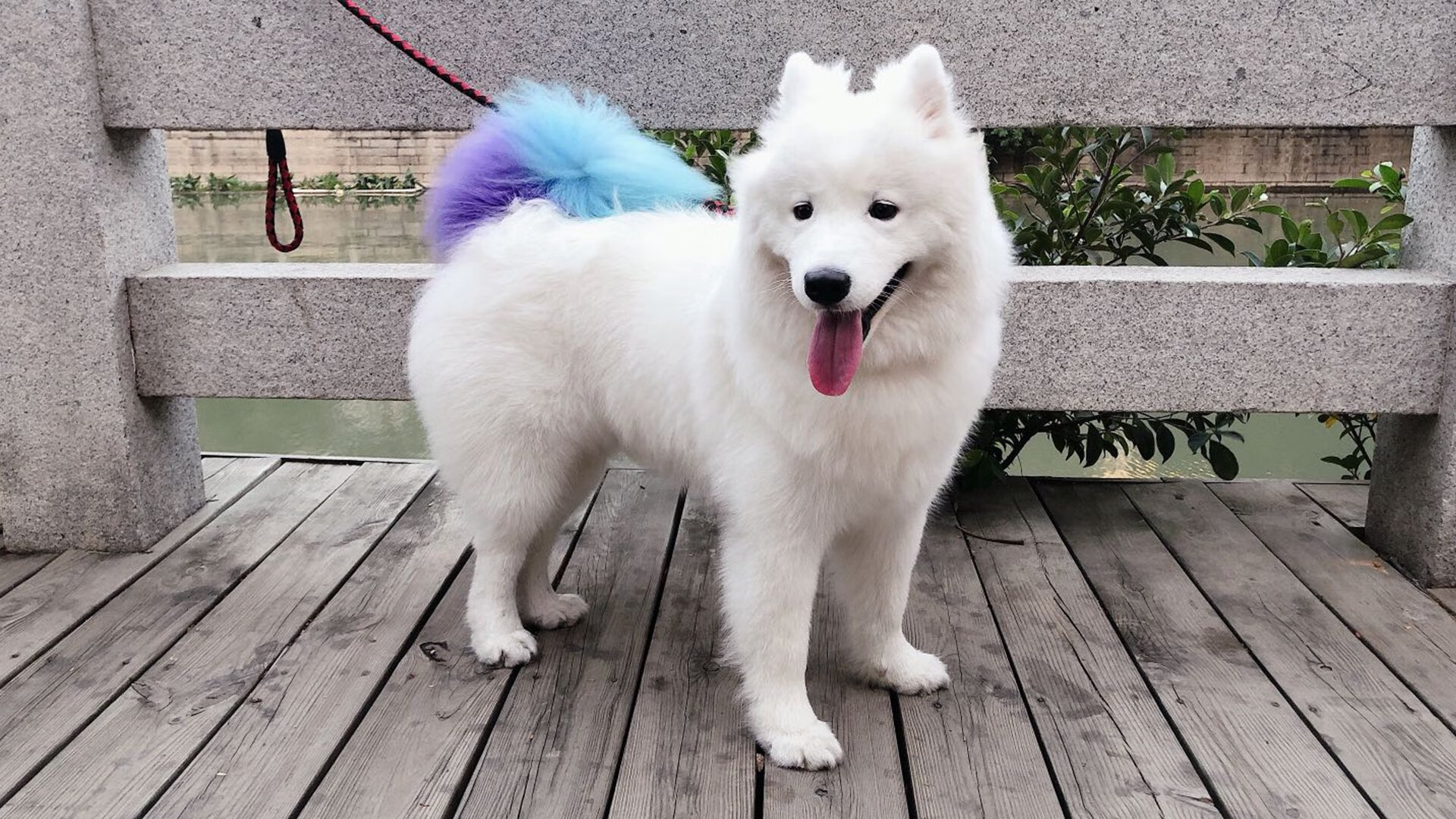 爱游戏在线-跨时空的决战，当马刺银黑风暴席卷辽宁，爱德华兹在最后三分钟改写命运