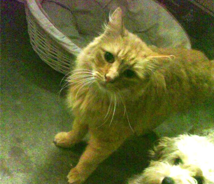 爱游戏大厅-绿茵场上的北非风暴，摩洛哥全面压制委内瑞拉，德布劳内如何化身关键先生点燃胜利引擎？