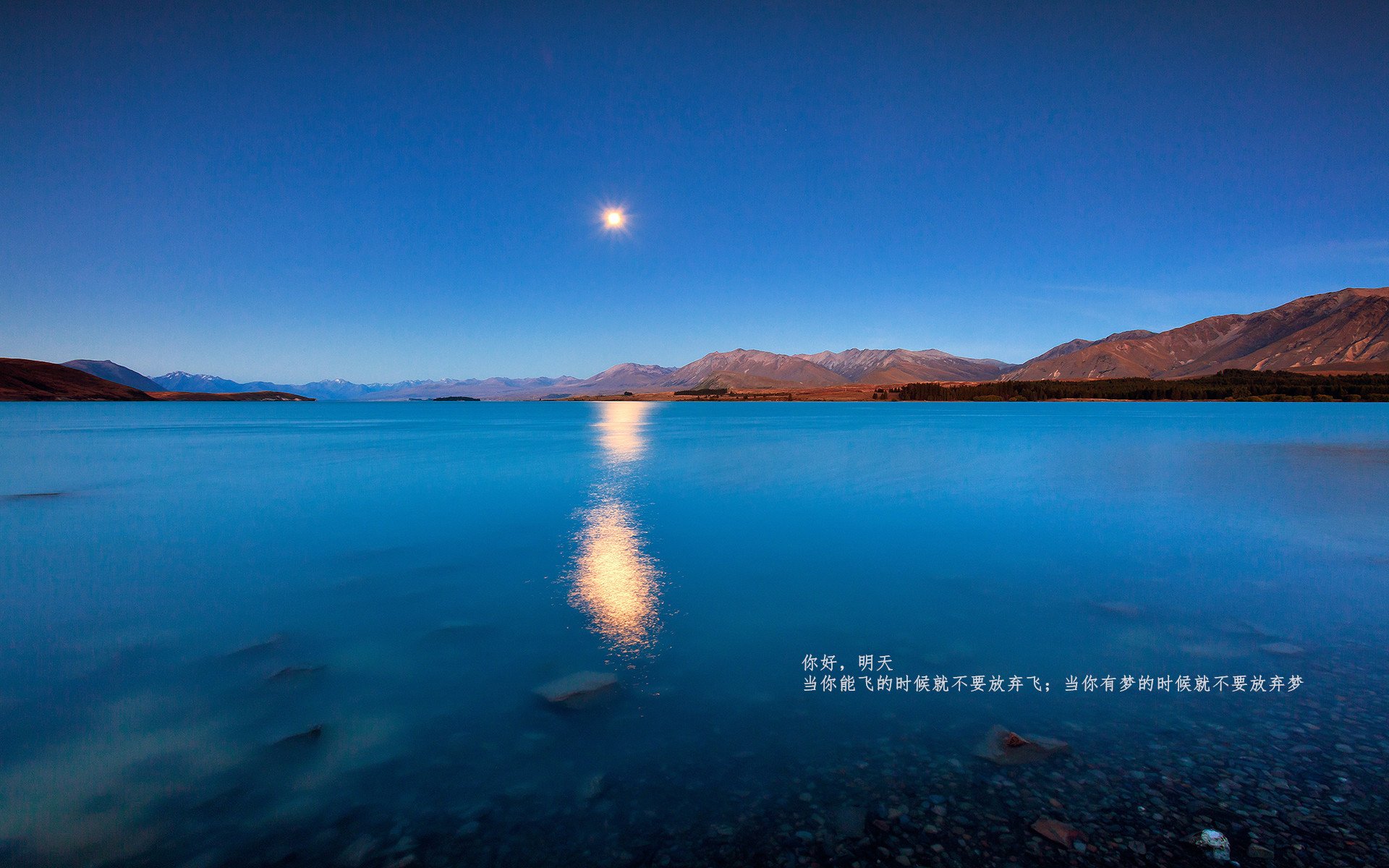 欧联杯盛宴，钢铁雄心德里赫特，舞台越大越强