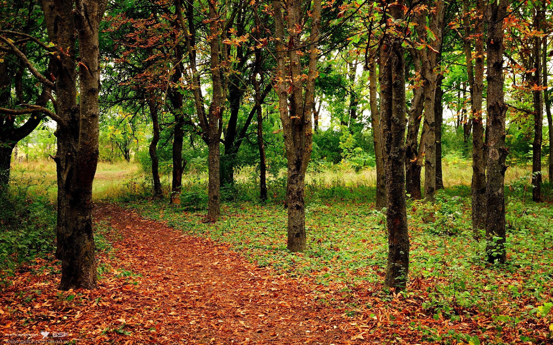 霍勒迪关键先生本色出演，公牛主场完胜火箭迎连胜