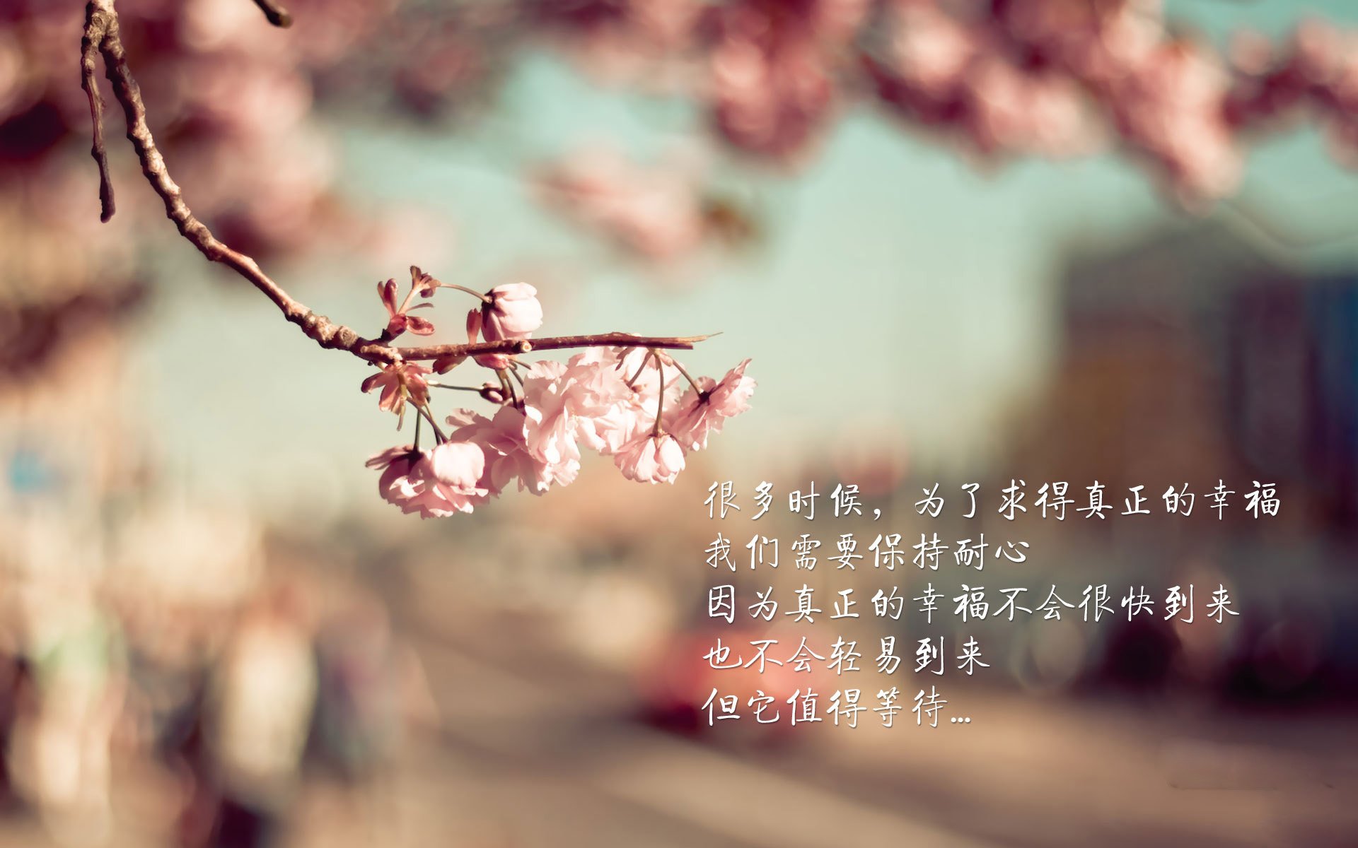 宿命的交错,当内马尔的魔法点亮2026,美国在G组生死战中险胜挪威