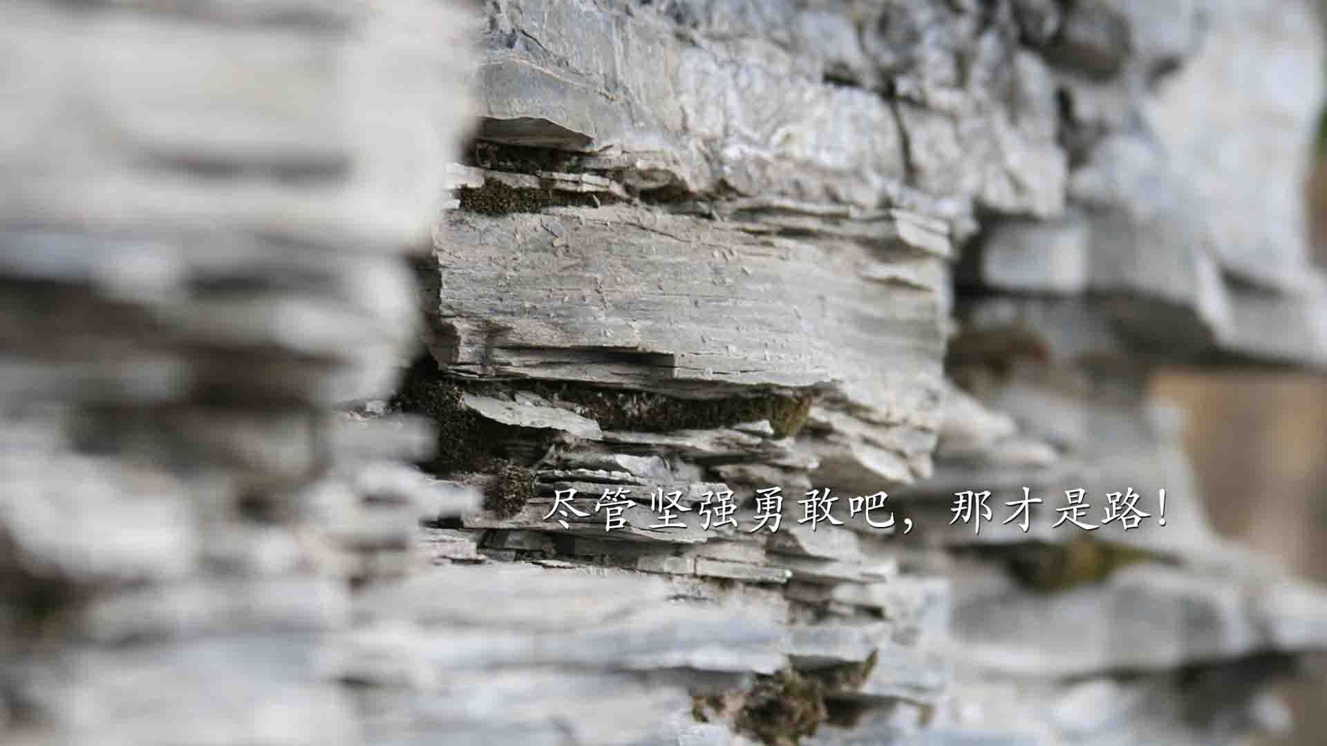 爱游戏官方入口-2026，葡萄牙的复仇圣战—从耻辱到荣耀，一场横扫美国的逆袭史诗