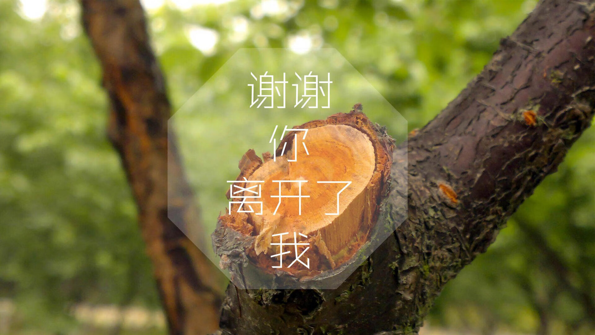 生死战唯一剧本,法国碾压乌拉圭,吉鲁封神之夜,没有之一